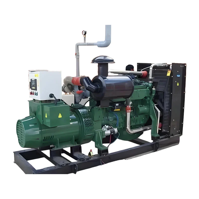 Jednopalivový 100kw generátor bioplynu Jednopalivový 100kw generátor bioplynu